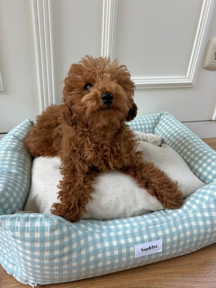 Cama Perro Confort Vichy verde