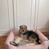 Cama Perro Confort Vichy rosa