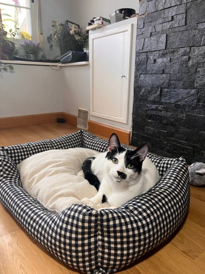 Cama Perro Confort Vichy negro