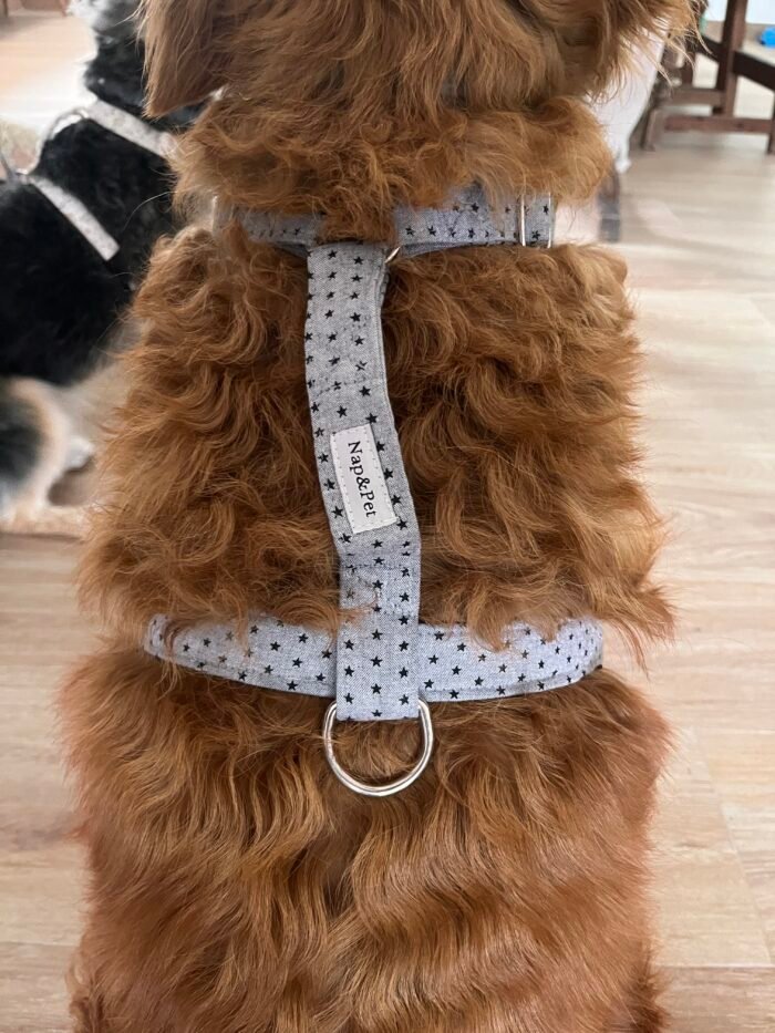 Arnés para perro estrella gris
