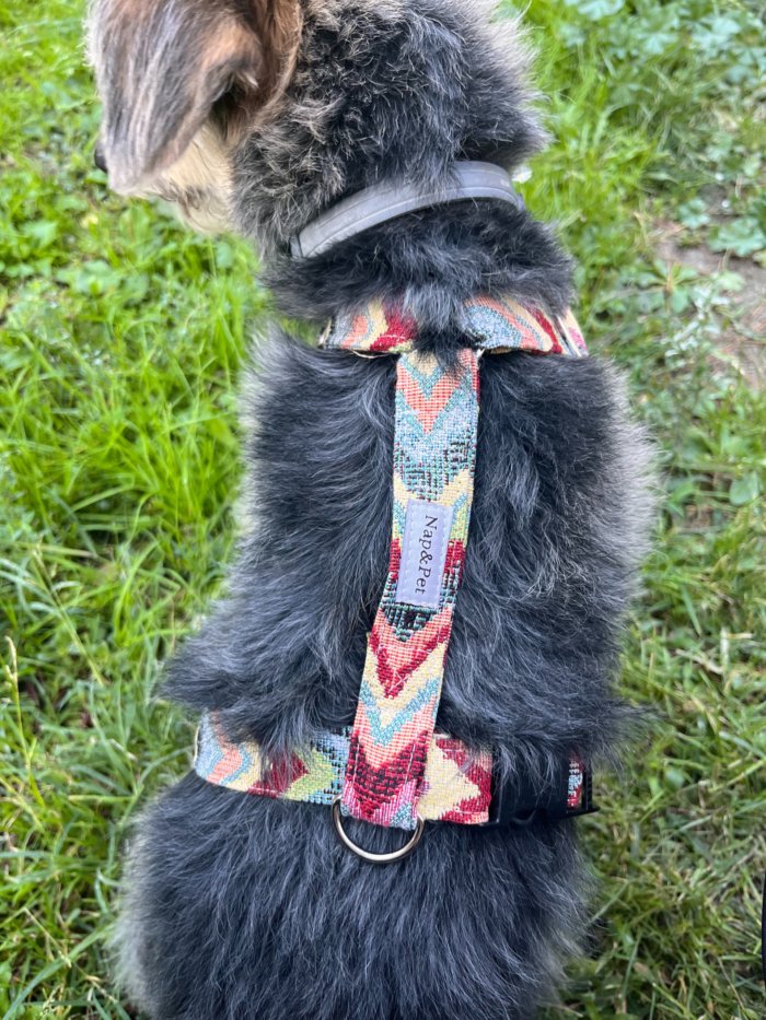 Arnés para perro tela ondas