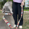 Correa para perro ondas