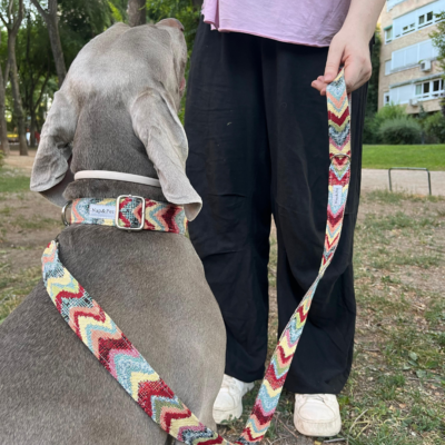 Correa para perro ondas