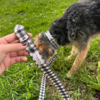 Correa para perro vichy negro