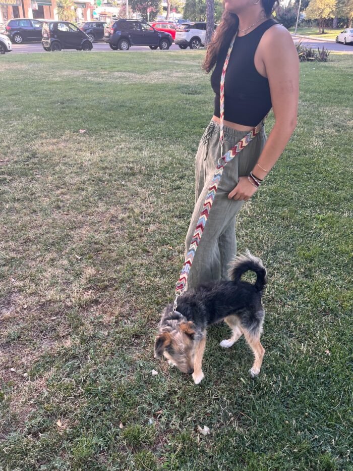 Correa multiposición para perro ondas