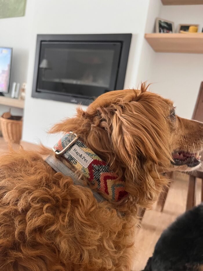 Collar para perro ondas