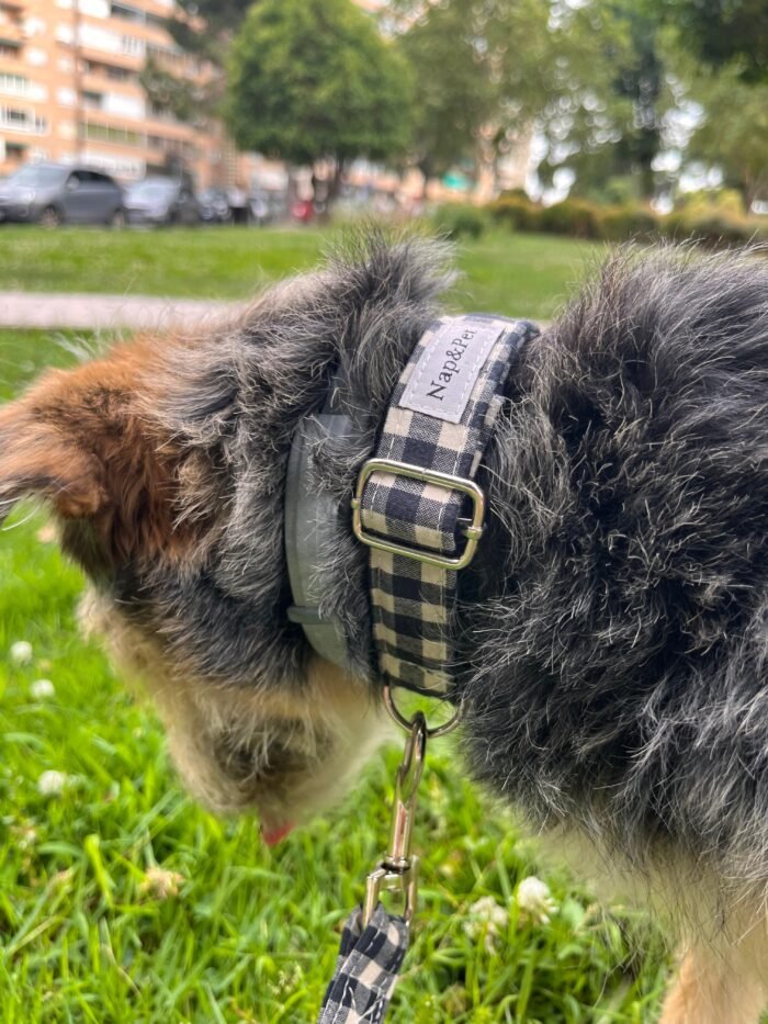 Collar para perro vichy negro