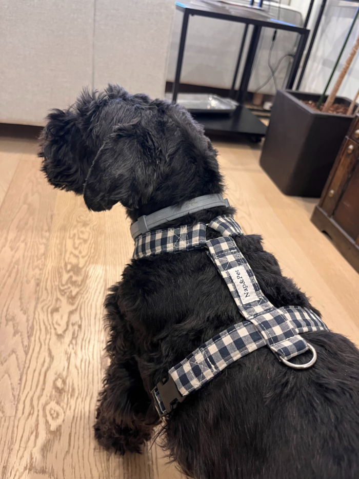 Arnés para perro Vichy Negro